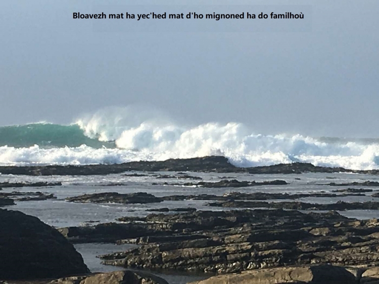 Marwick-5.jpg